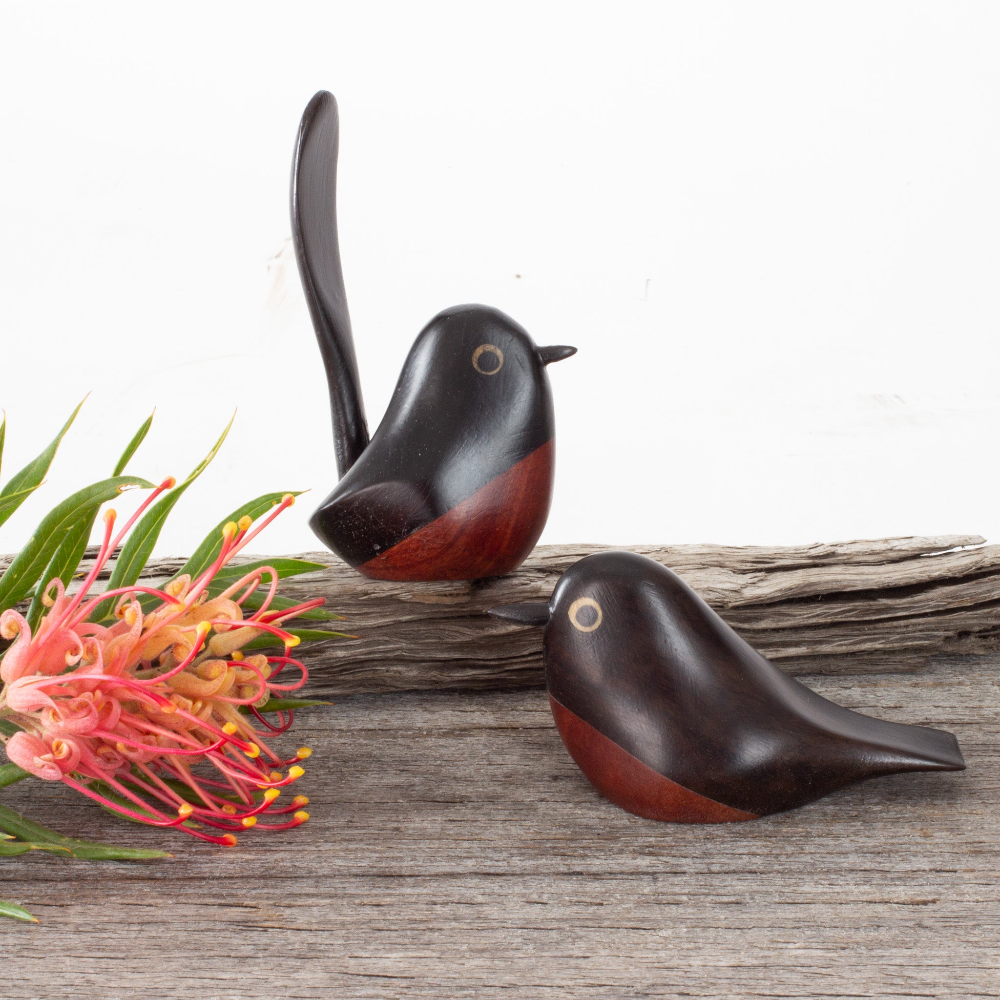 Gift Bundle: Ancient Australian Redgum Bird Combo