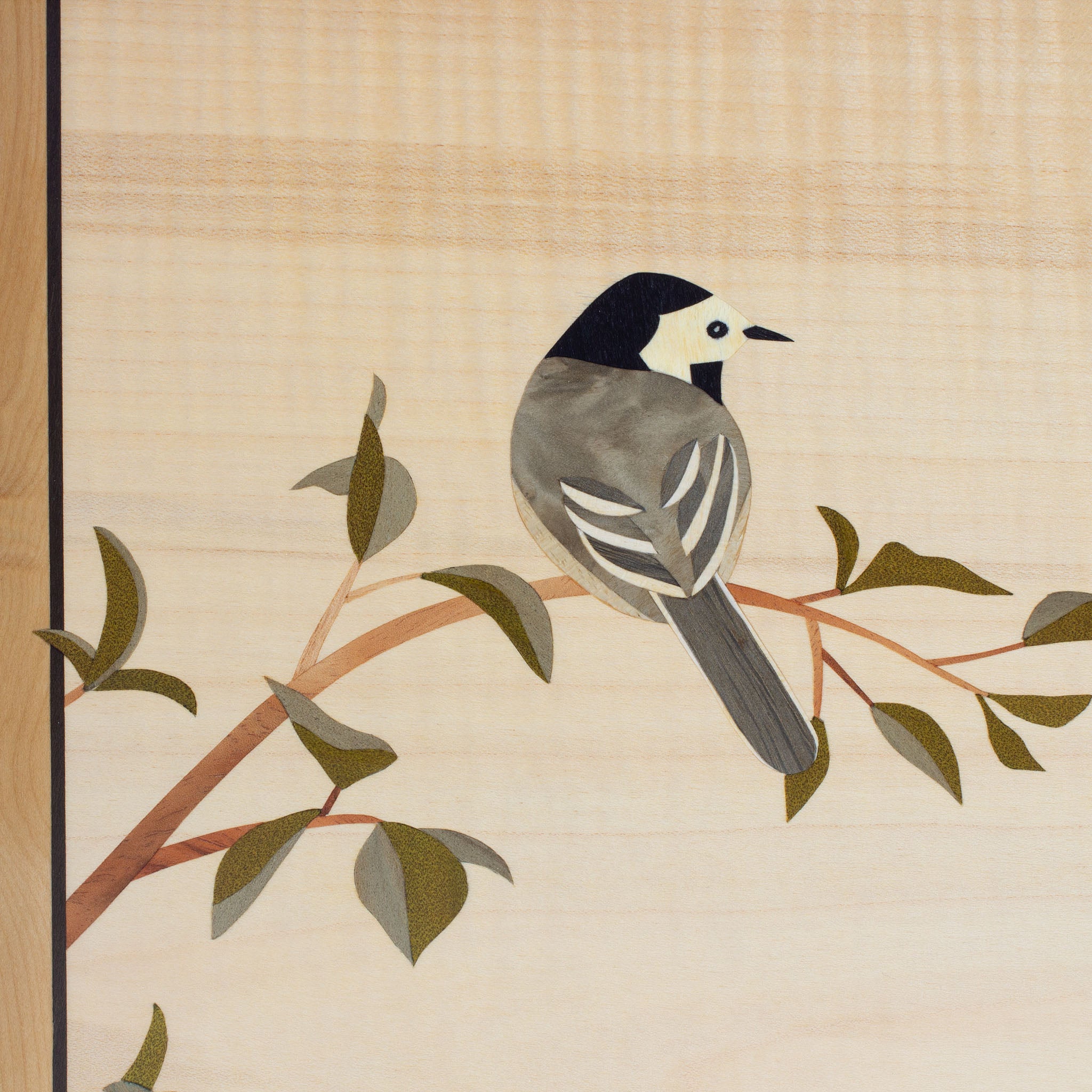 Buy Handmade White Wagtail Marquetry Artwork Online Australian Woodwork   White Wagtail Marquetry Artwork 2 