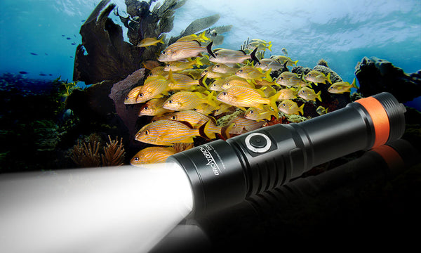 OrcaTorch D530V Underwater Video Light