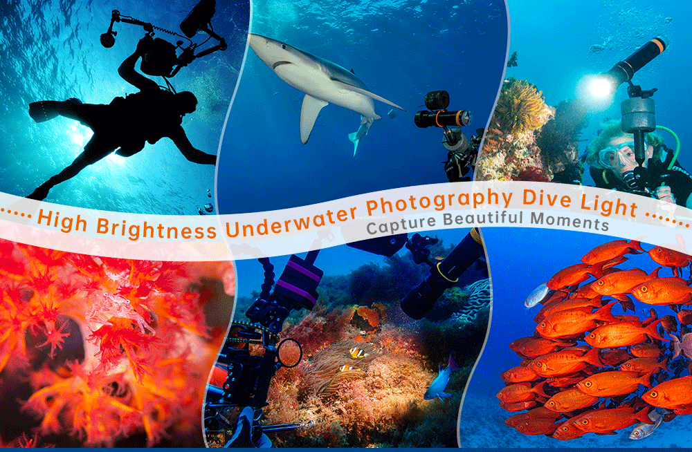 OrcaTorch D950V 2.0 Dive Light - Capture the true color underwater