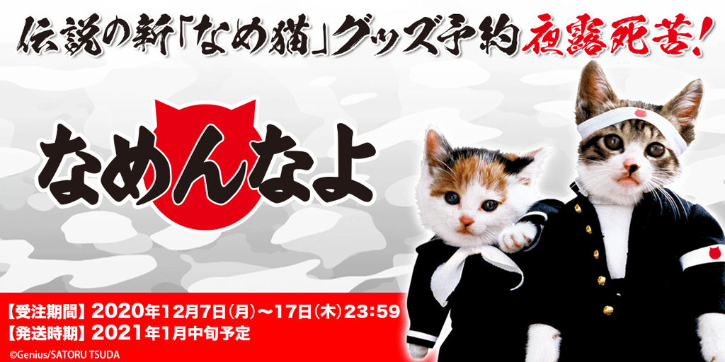 全日本暴猫連合 なめんなよ オリジナルグッズ予約受注開始 アキバ運輸