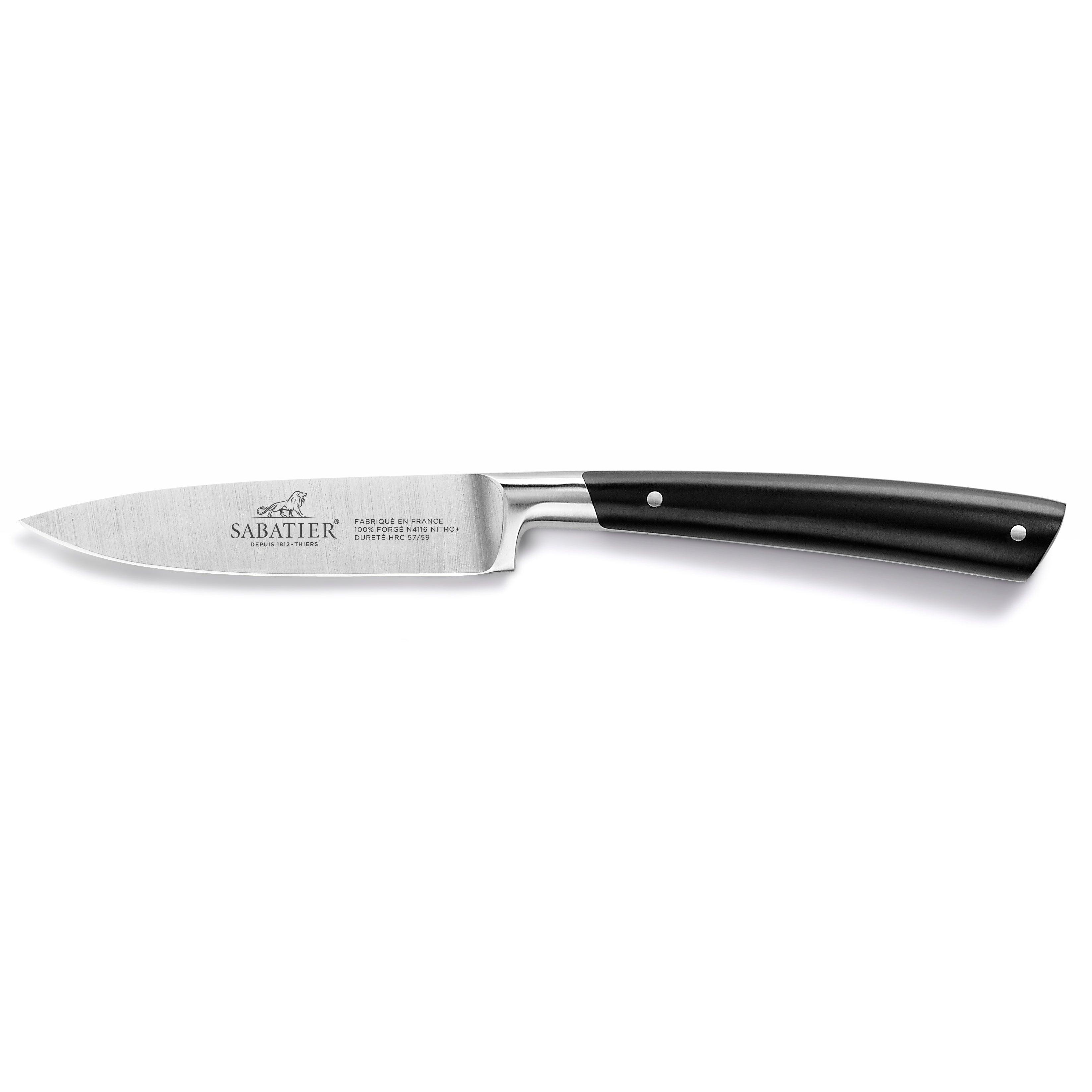 Lion Sabatier Fillet Knife Ideal 15cm - Couteaux à filets 