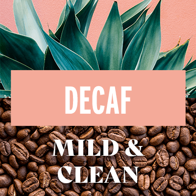 Decaf Coffee Beans