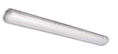 fluorescent emergency light