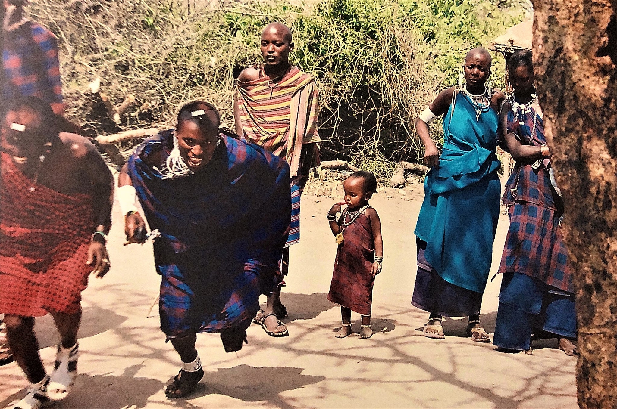 Kenyan coffee Masai tribe