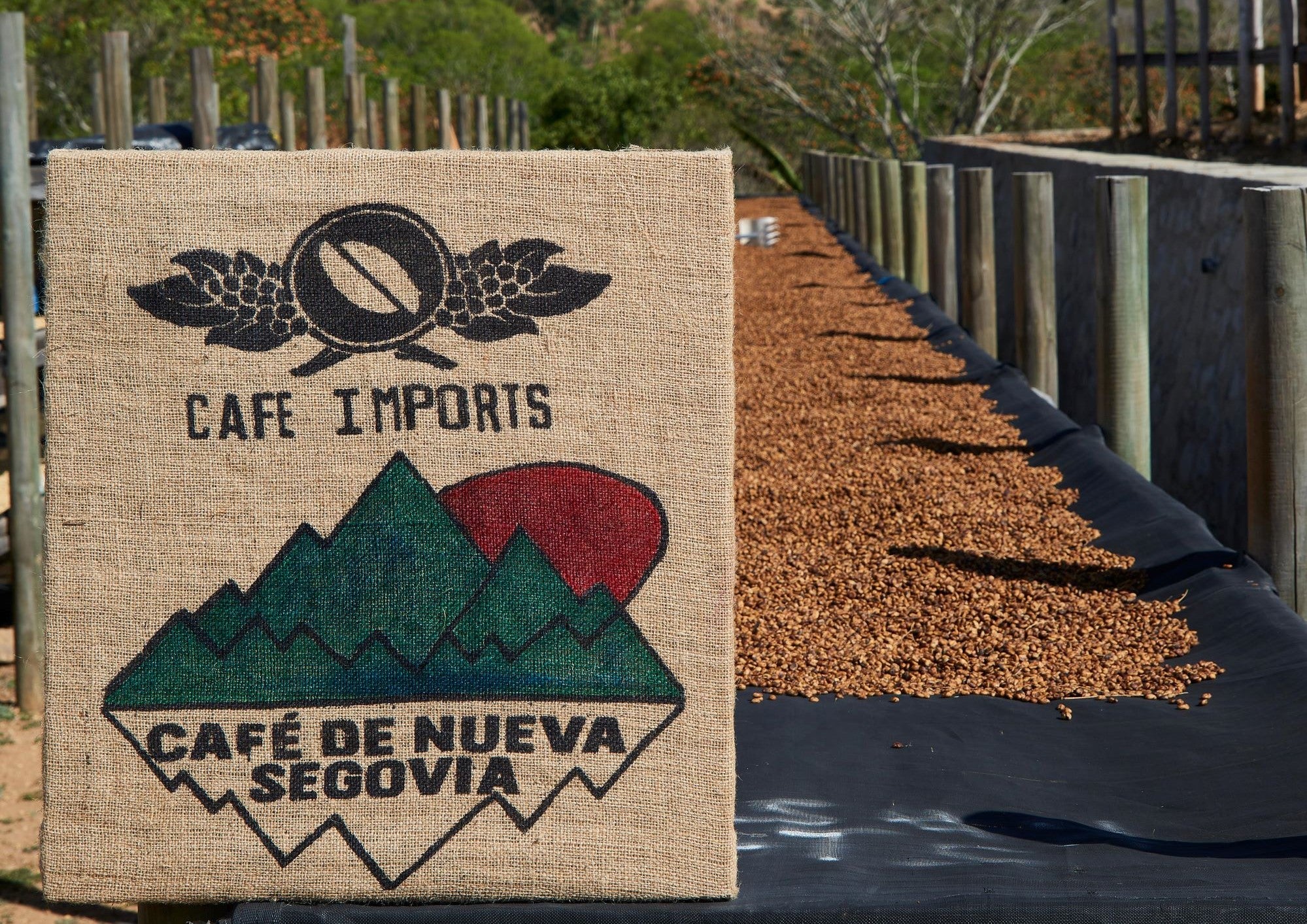 Cafetos De Segovia, NIcaragua coffee farm, coffee sack and drying coffee beds