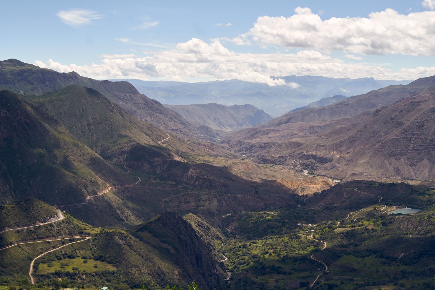 Ecuador landscape, coffee farms, coffee beans