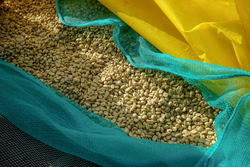 coffee cherries in baskets, coffee farm, Ethiopia