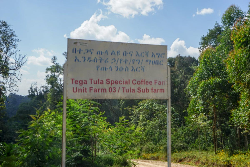 Tega & Tula coffee farm, Kaffa forest, Ethiopia, farm signage