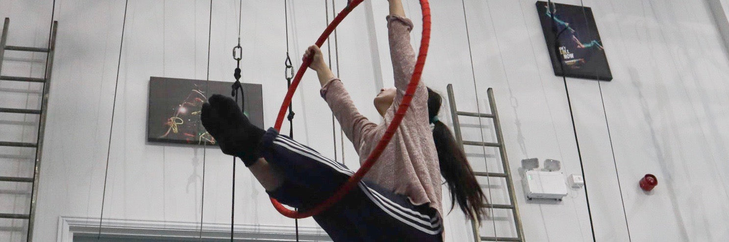 circus and aerial fitness goals