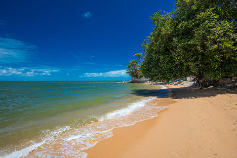 beach equipment