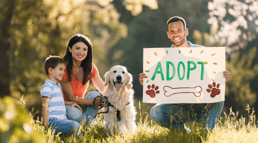 a family adopts an animal