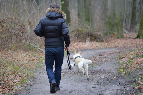 Man in a jacket walking his dog on a trail