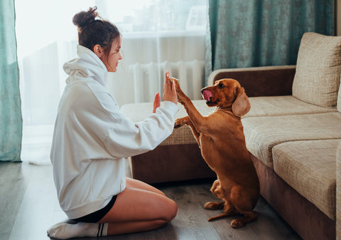 dog mom high fiving dog