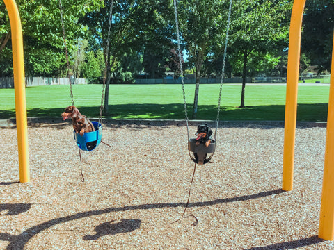 How many of these embarrassing dog park moments can you relate to?