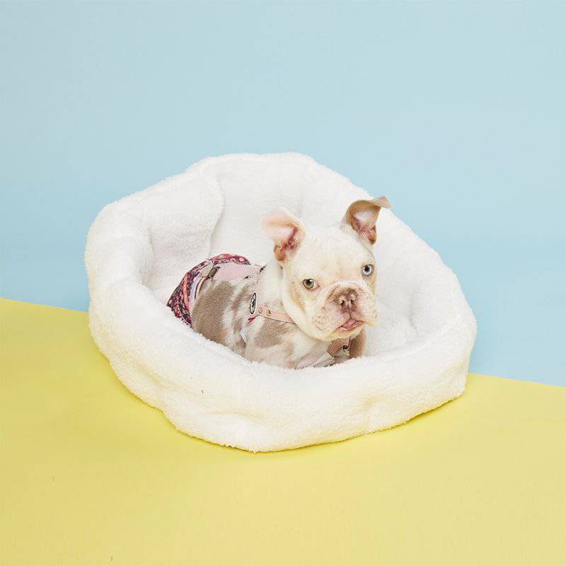 PAWD® Lounger | Pet Crate Calming dog bed - KindTail product image