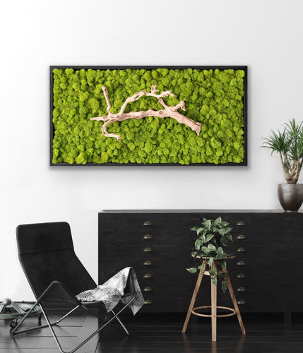 Preserved Reindeer Moss Wall Art – Mac & Mabel