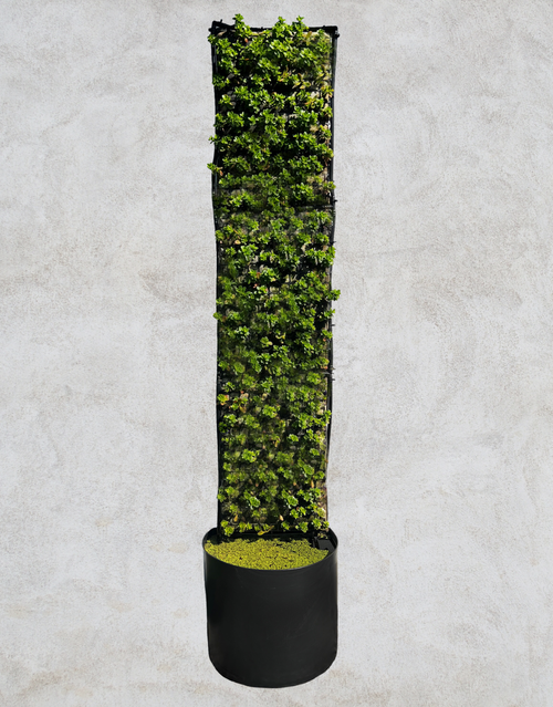Muro Vertical Verde Cilindrico