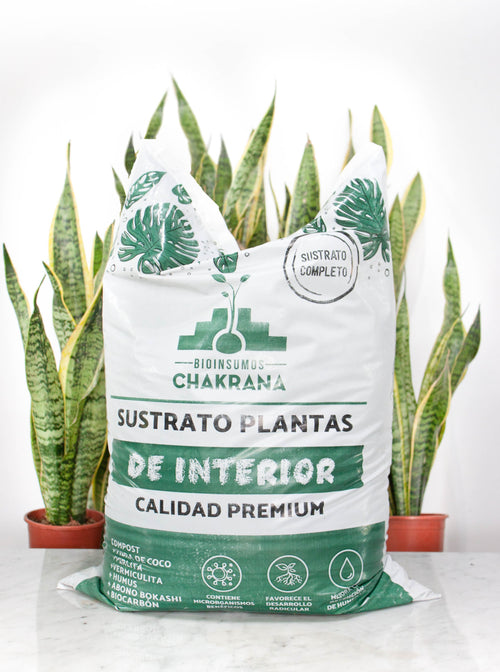 Sustrato Plantas de Interior