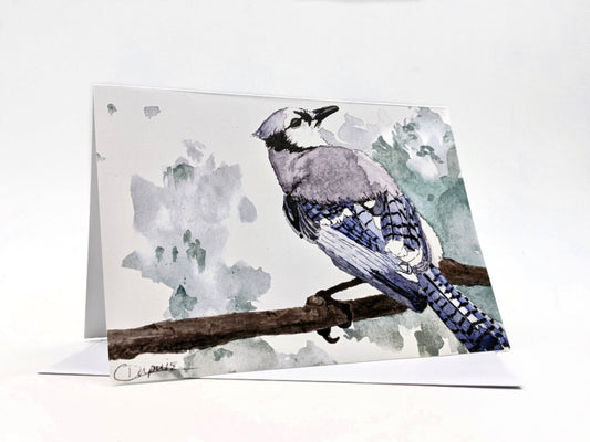 Greeting Card - Blue Jay - Bird Lovers - blank inside - ideal for every occasion - Canadian art - Painting