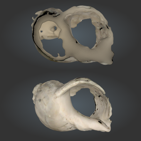 COMPARISON OF SCANNING RESULT AFTER ONE SCANNING PASS (TOP VIEW) AND TWO SCANNING PASSES (BOTTOM VIEW)