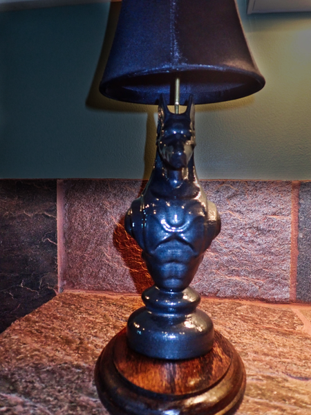 Result of the home-made lamp