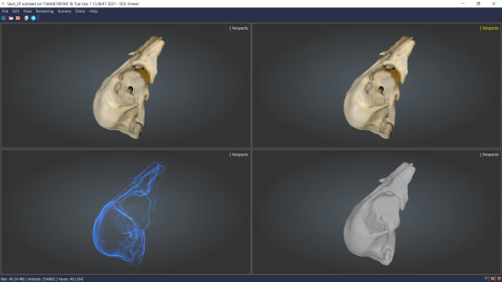 SOL Bird skull Normal 2 passes 3D scanning