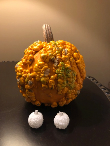 Gourd and 3D printed ear rings