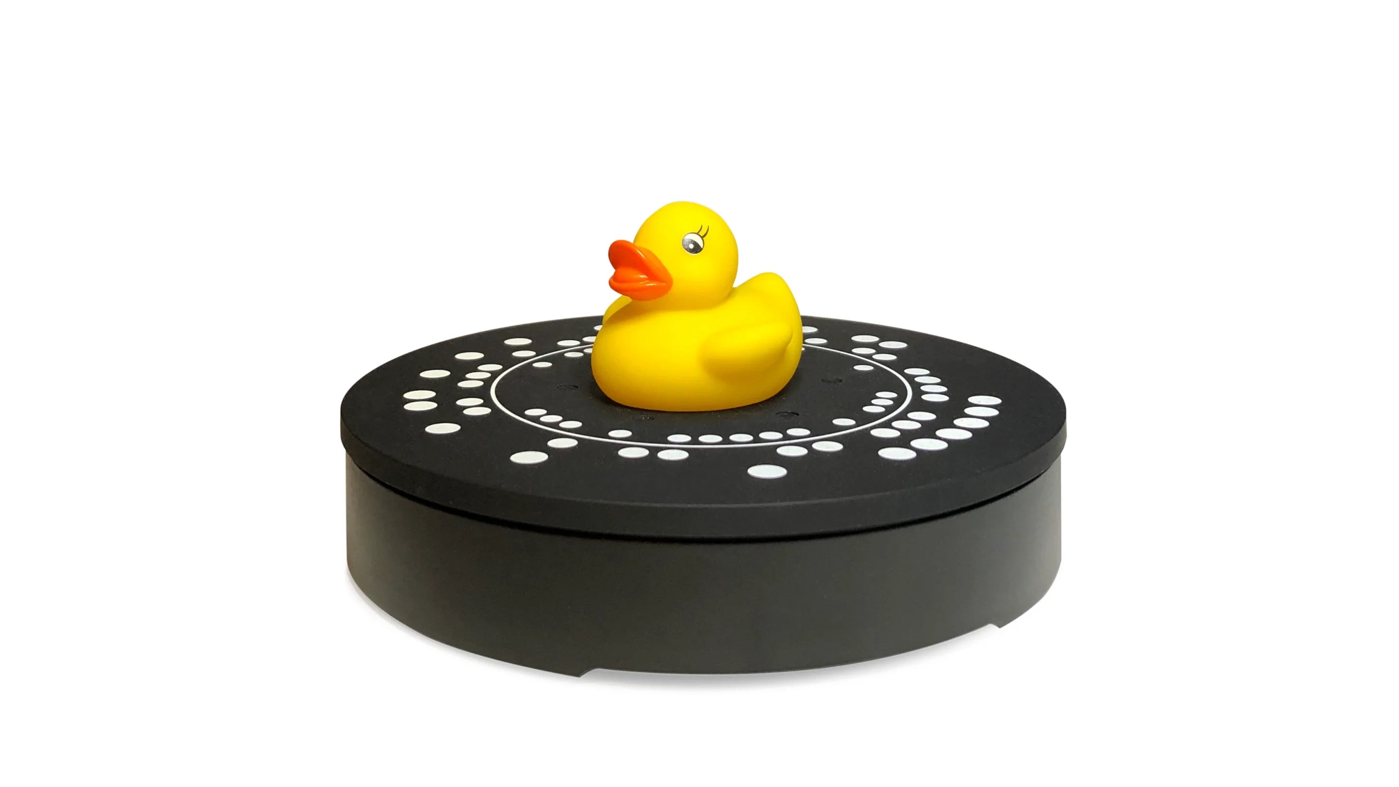 Rubber duck (SOL test object)