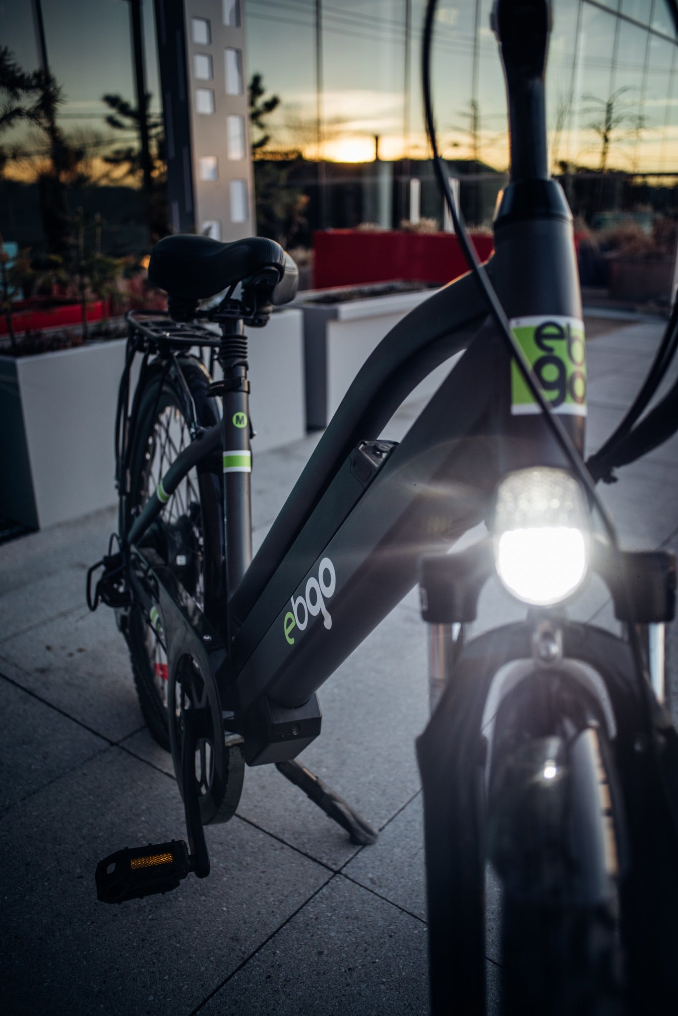 ebgo electric bike costco