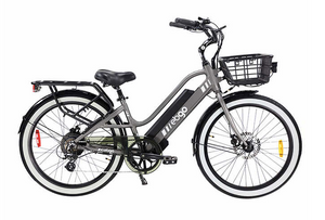 costco ebgo electric bike