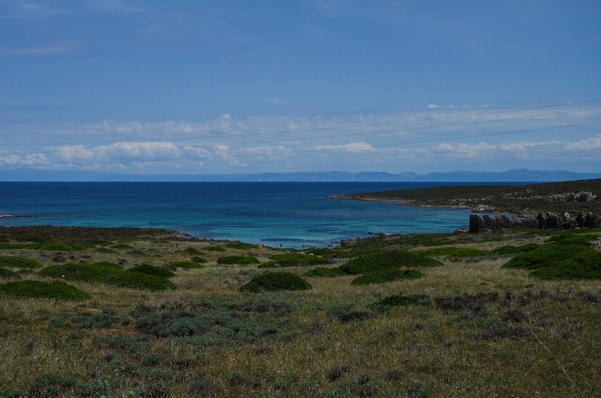 asinara stintino alghero parco nazionale