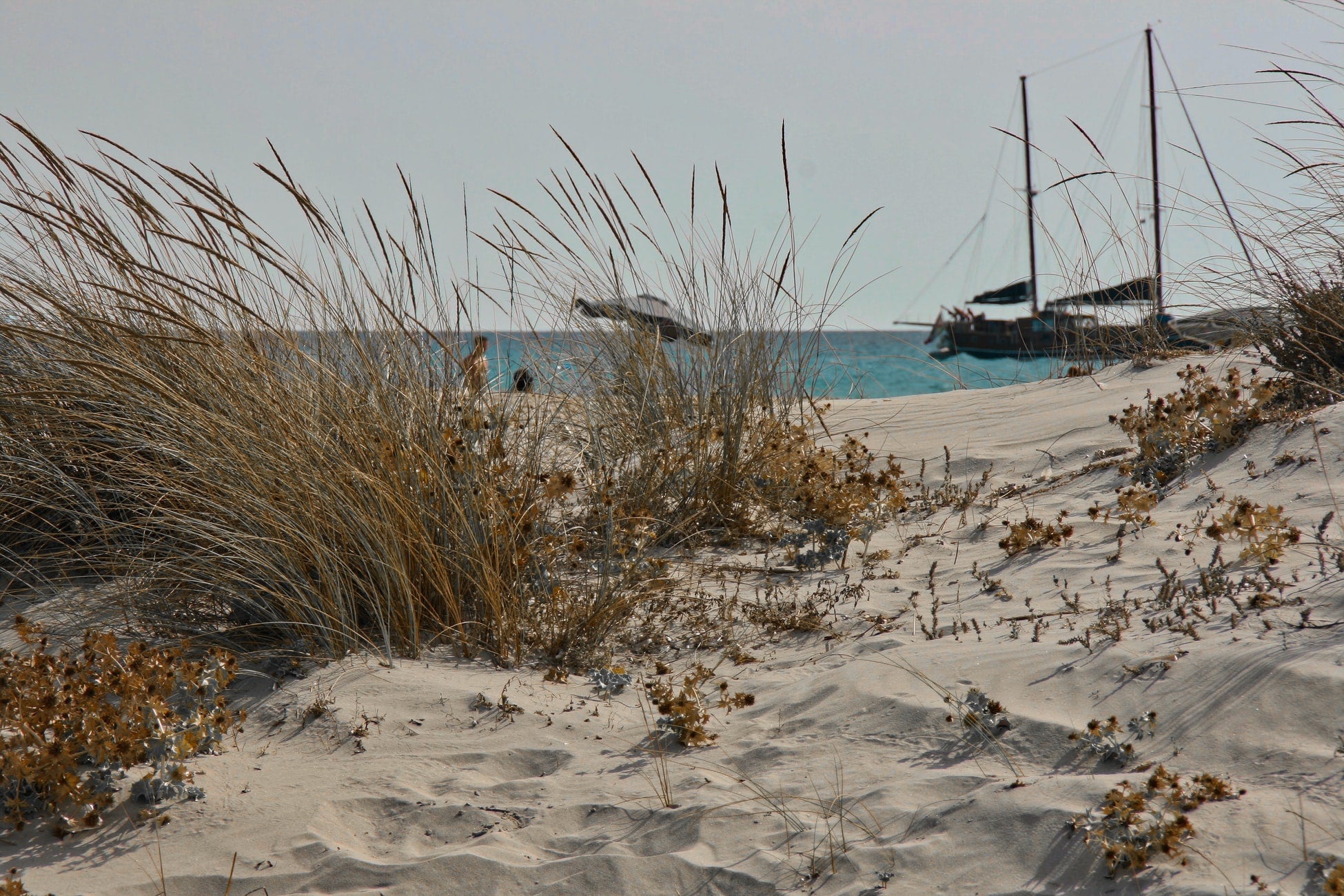 dune di sabbia, entroterra e mare cristallino Sardegna