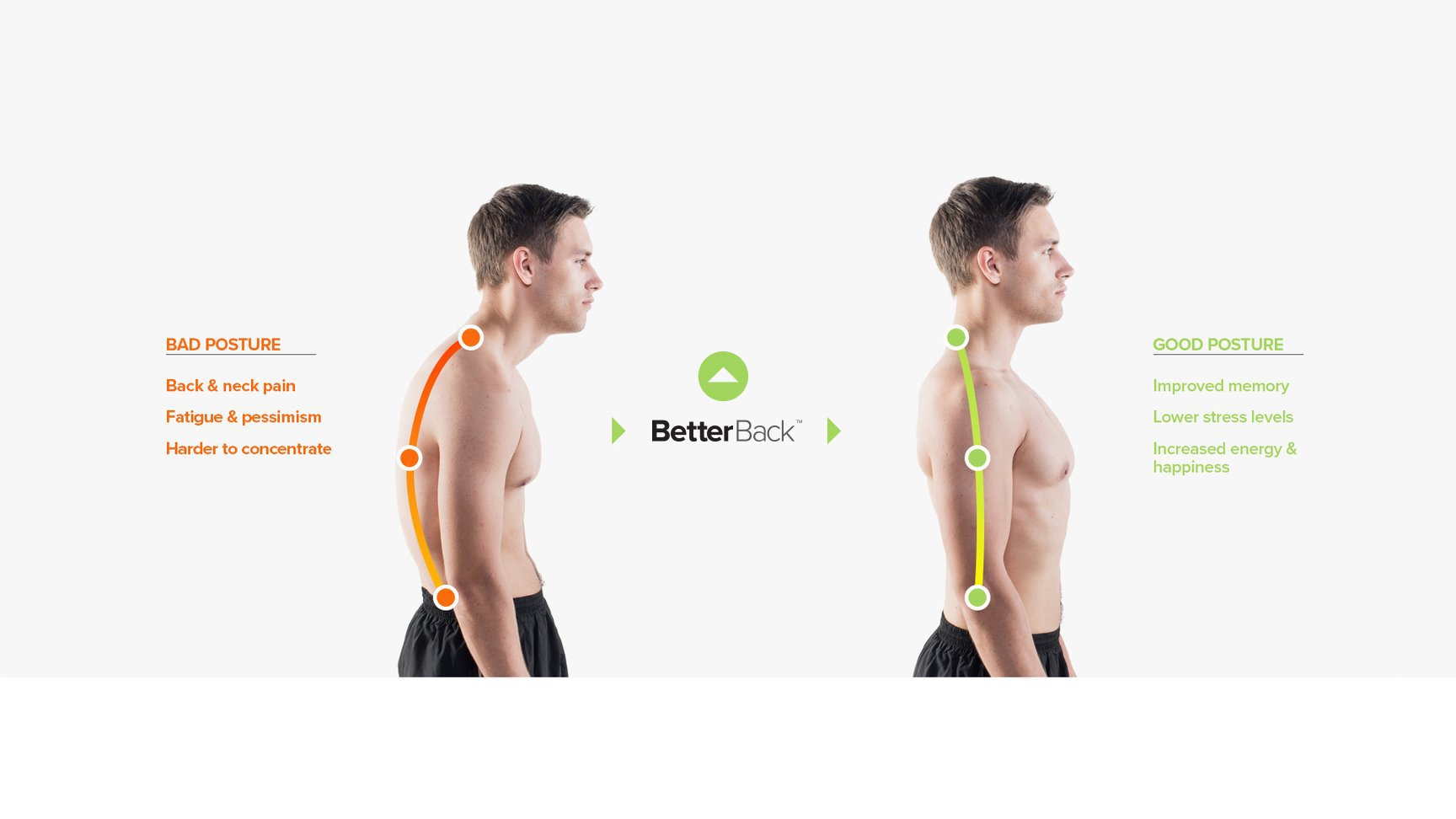 BetterBack - #1 Lower Back Support Posture Belt | As Seen on Shark Tank USA | ..