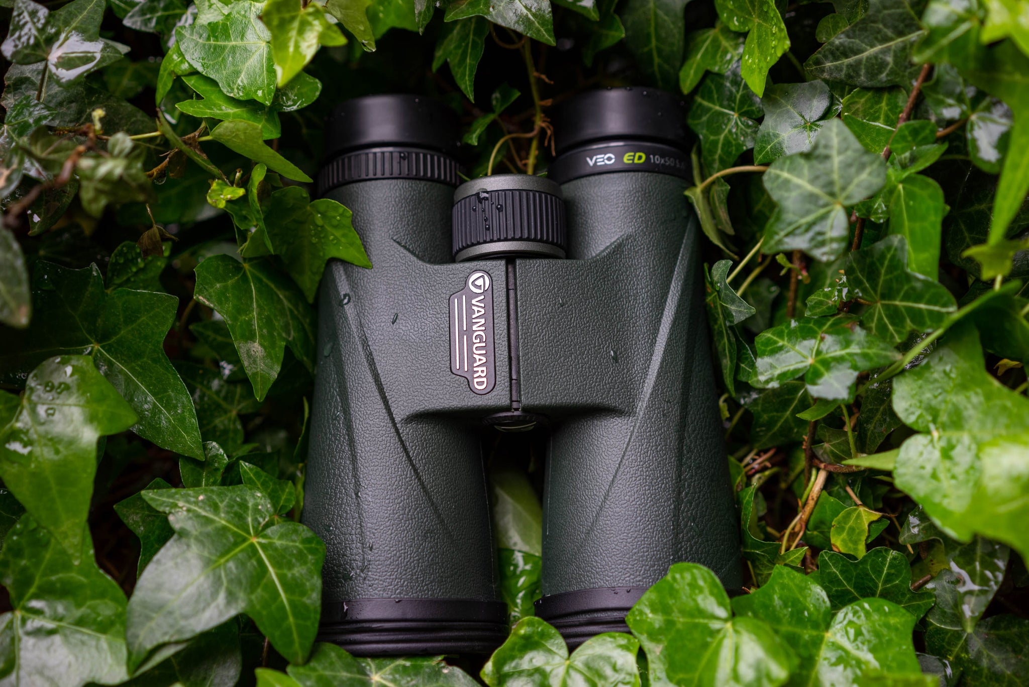 binoculars birding hunting outdoors best binoculars vanguard veo ed