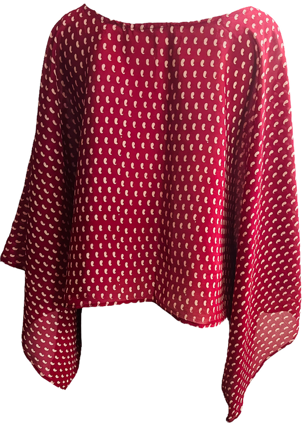 Kashagawigamog Version A Pure Silk Kimono-Sleeved Top