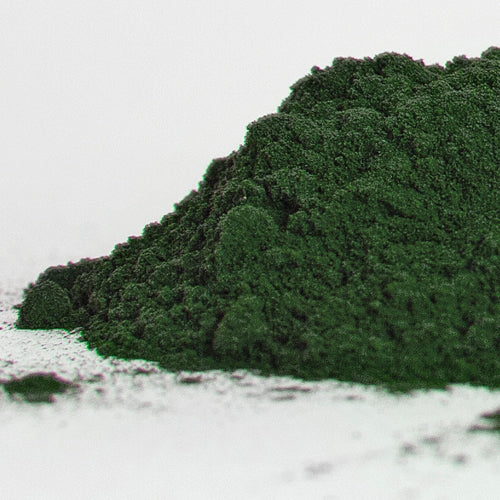 Spirulina a true superfood for your dog or cat.