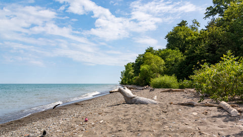 Lake Erie Bluffs