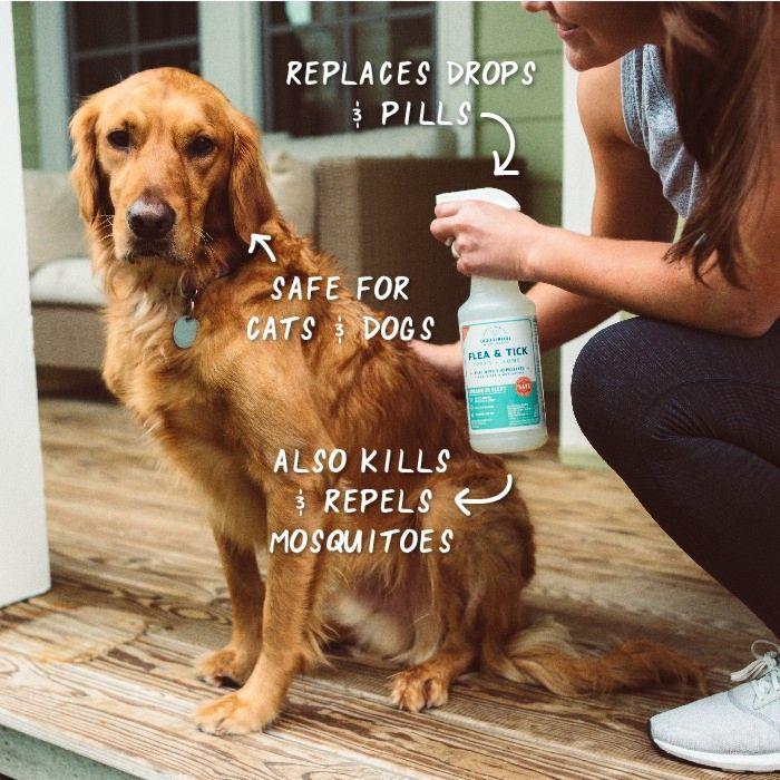 flea spray for dogs pets at home