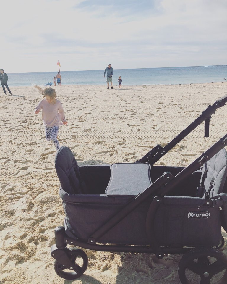 pronto pram wagon