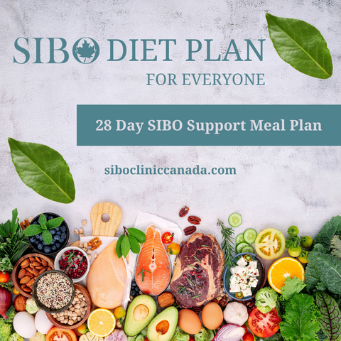 Sibo Diet