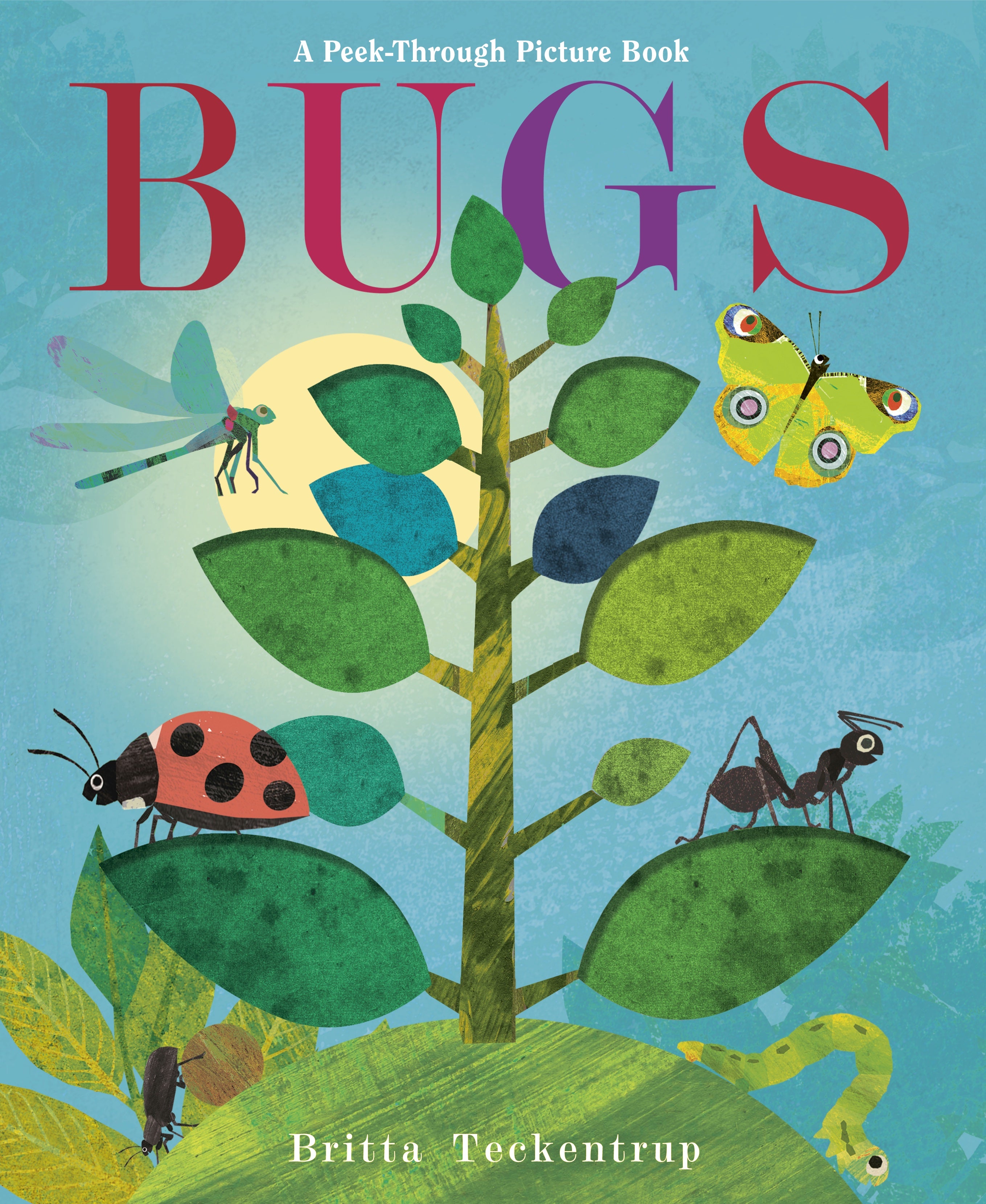 bugs: a peek-through picture book