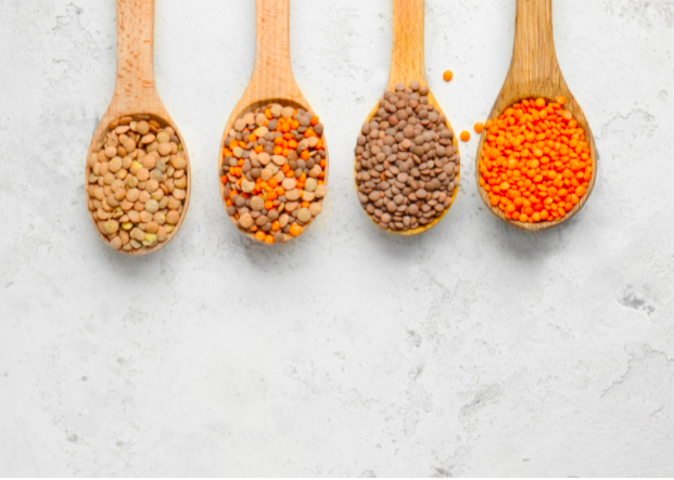 Source of Protein from Lentils