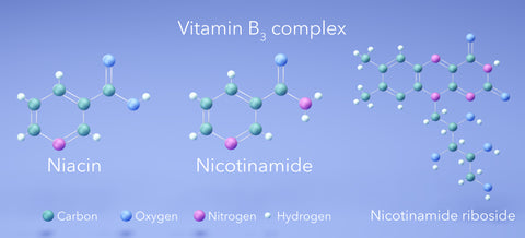 structural-diagram-of-niacin-vitamin-b3