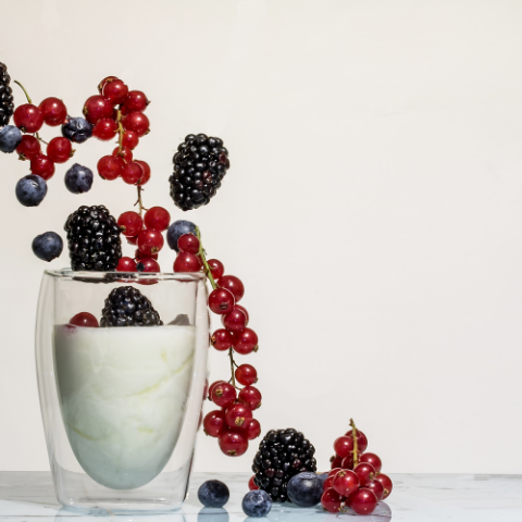 natural greek yogurt probiotic foods to eat 