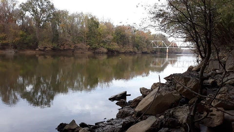 Pee Dee River at Dexters Dock