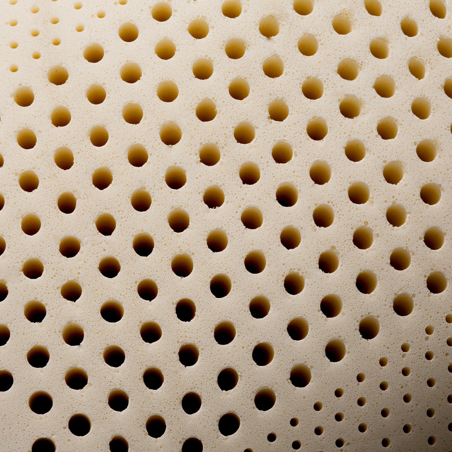 malouf talalay latex zoned pillow