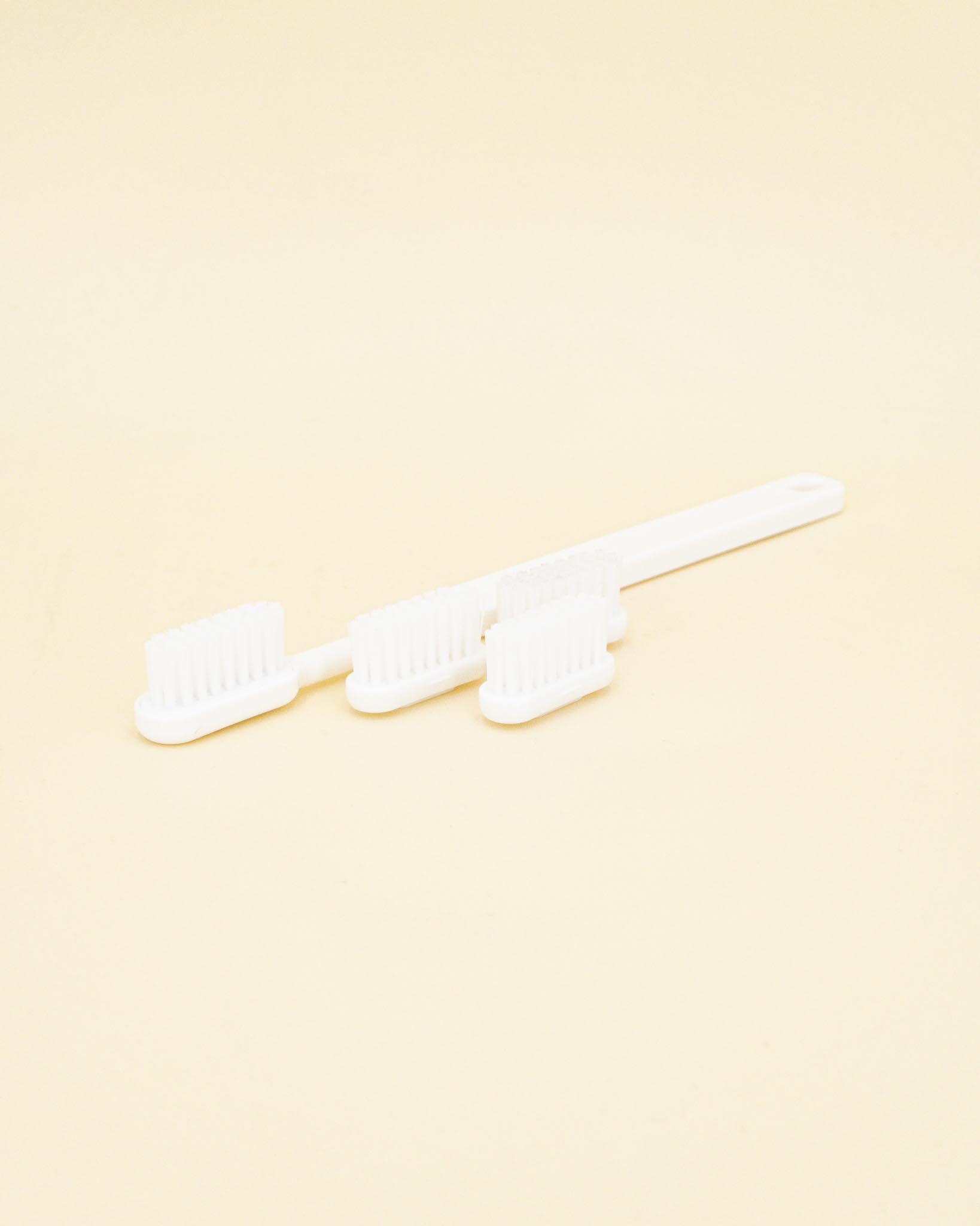 Tasse à brosse à dents Archives – UniqueBeds, Home & Living