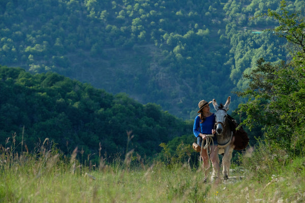 Antoinette_dans_les_Cevennes_Photo_10©Julien_Panié_CHAPKA FILMS _ LA FILMERIE_FRANCE 3 CINEMA