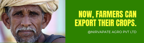Nirvapate Farmers To Export Their Products